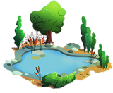 Small Pond