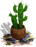 Tall Cactus