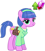 Apartment-Hunting Pony