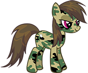 Camo Dash