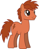 Canter Creek Townspony