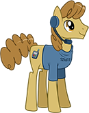 Convention Staff Pony