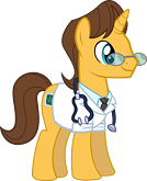 Doctor Horse