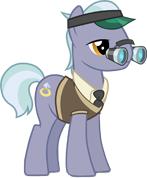 Eyeshade Pony