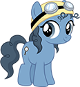 Freediver Pony