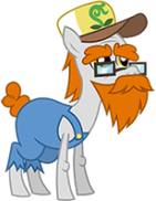 Hayseed Swamp Stallion