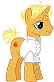 Head Chef Pony