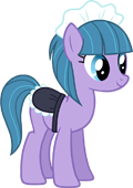 Housekeeper Pony