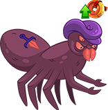 Magenta Appaloosan Spider