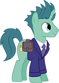 Manehattan Businesspony