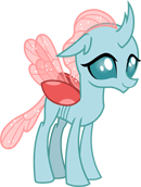 Ocellus