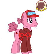 Racing Tortoise Trainer