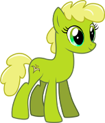 Canter Creek Farmpony