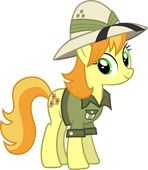 Safari Pony