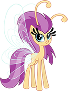 Seabreeze's Special Somebreezie