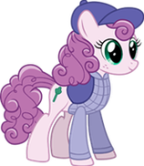 Tortoise-Racing Pony