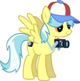 Photographer Pony
