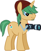 Trendy Photographer Pony