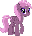 Wild West Rodeo Pony