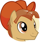 Canter Creek Cowpony