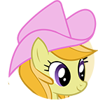 Cheerful Appleloosan