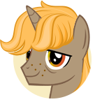 Cooper Reenactor Pony