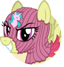 Masked Pony Gangster