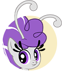 Purple-Gray Breezie