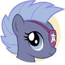 Rebel Rock Star Pony