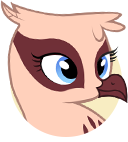 Rookie Griffon Racer