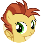 Sincere Friendship Student