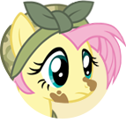 Sombraverse Fluttershy